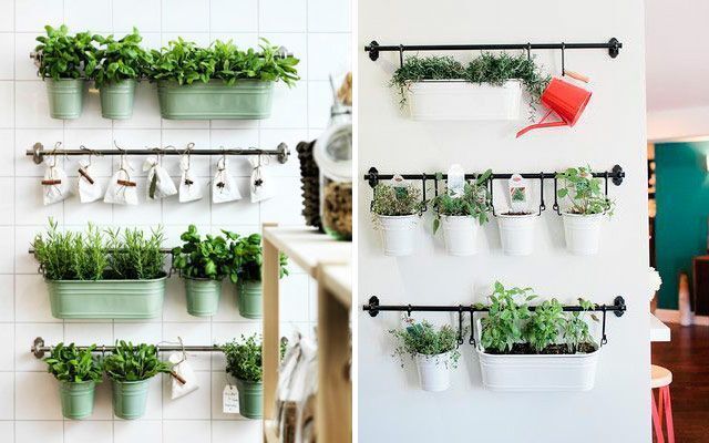 Nuevo significado Testificar Hacer bien Ideas originales para decorar la cocina con plantas
