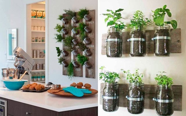 Nuevo significado Testificar Hacer bien Ideas originales para decorar la cocina con plantas